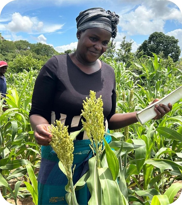 Household Nutrition Gardens
